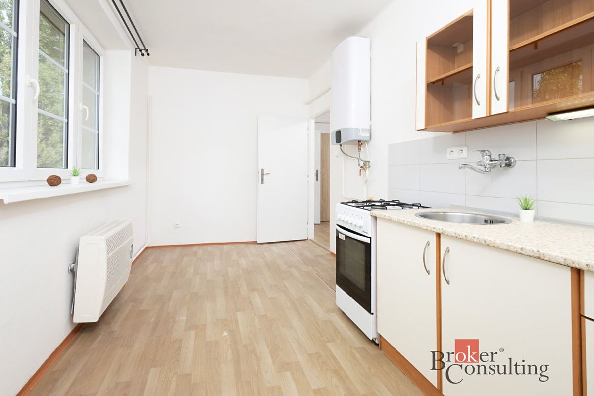 Pronájem bytu 1+1 42 m²